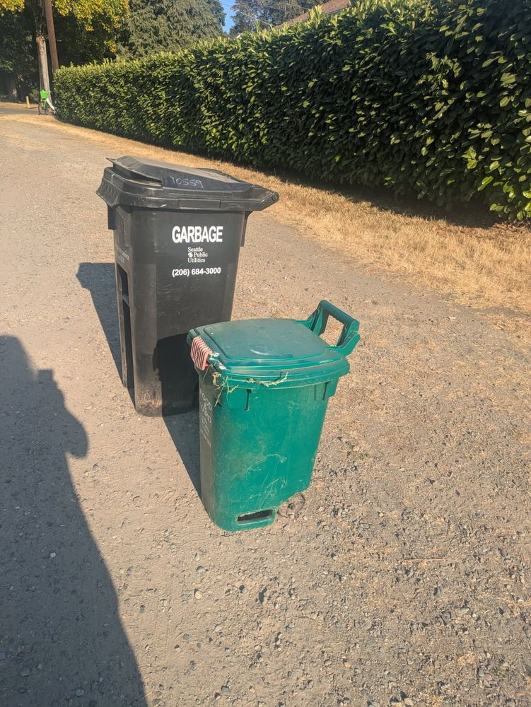Two garbage bins at the curb