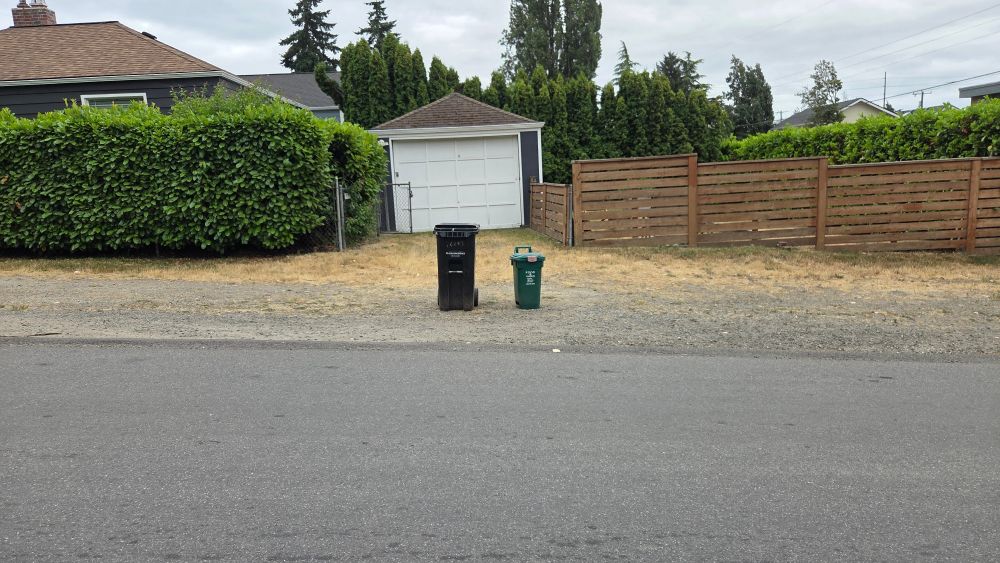 Two garbage bins at the curb