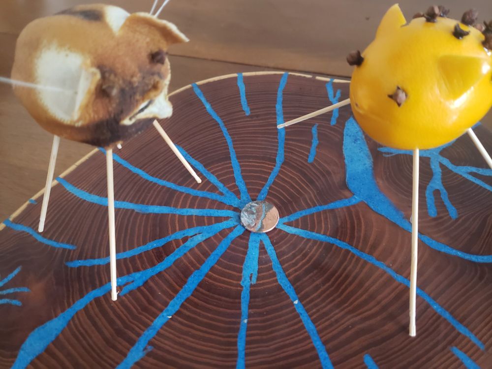 Old pig gives up the penny. It lies between them.