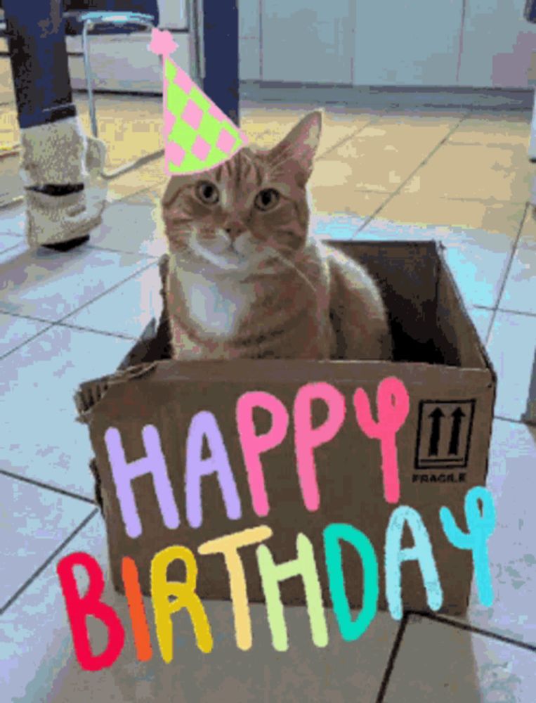 Cat Orangecat GIF - Cat Orangecat Happy Birthday - Discover & Share GIFs