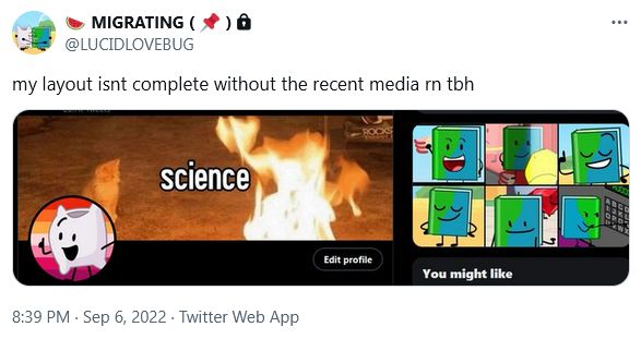 "my layout isnt complete without the recent media rn tbh"
screenshot of old twitter layout, featuring a profile picture of pillow bfdi with a lesbian flag background, a banner of a cat staring at a flame captioned 'science', and several screenshots of book from various bfdi episodes in the recently posted media section
