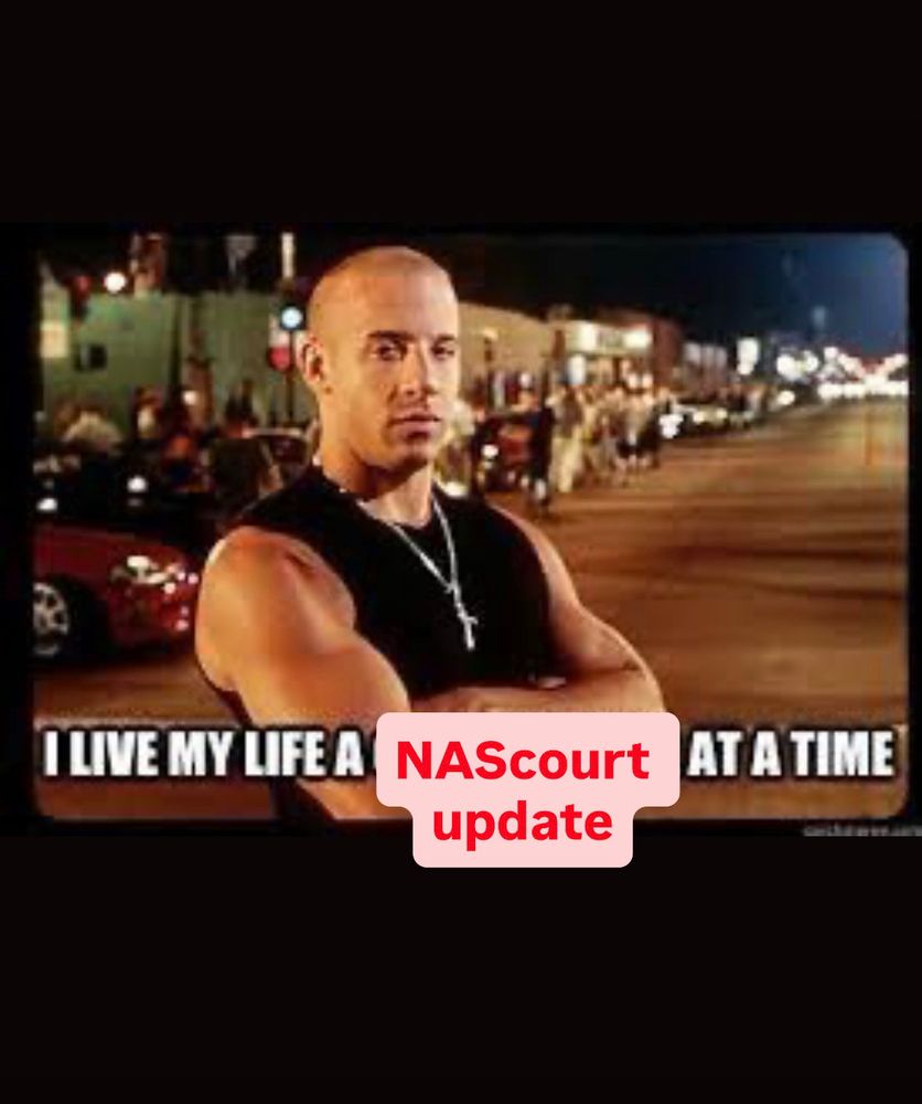 Dom toretto. Alanis has photoshopped the image to say “I live my life a NAScourt update at a time” 