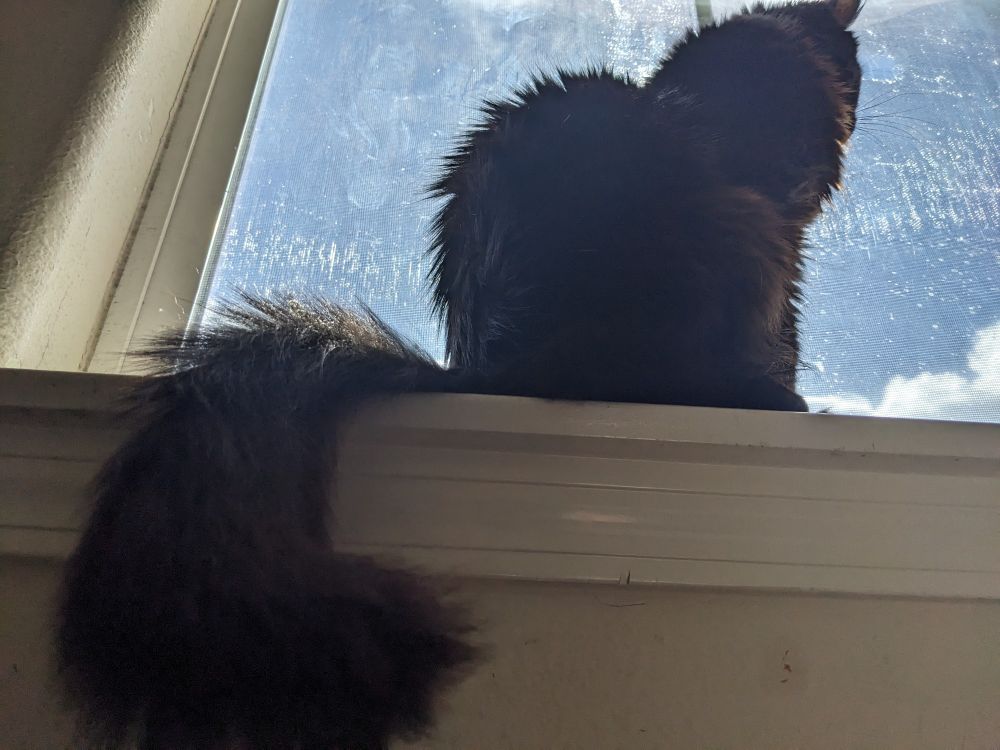 cash on a window sill 