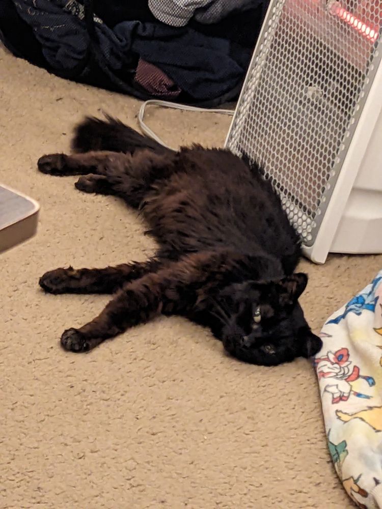 cash flopping in front of a heater