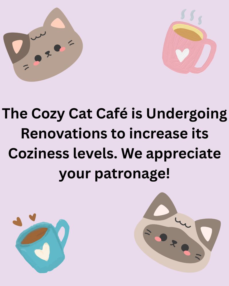 The Cozy Cat Café is Undergoing Renovations to increase its Coziness levels. We appreciate your patronage!