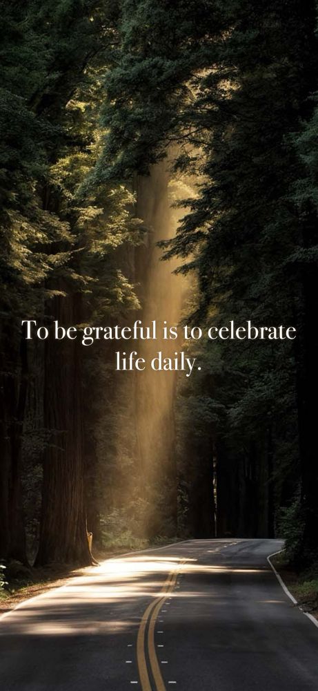To be grateful is to celebrate life daily. On a winding road with a glimpse of sunlight 