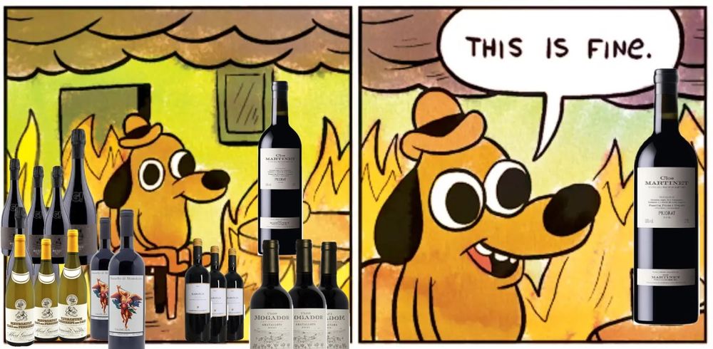 The "This is fine" dog meme but it's surrounded by some of my favorite imported wines.