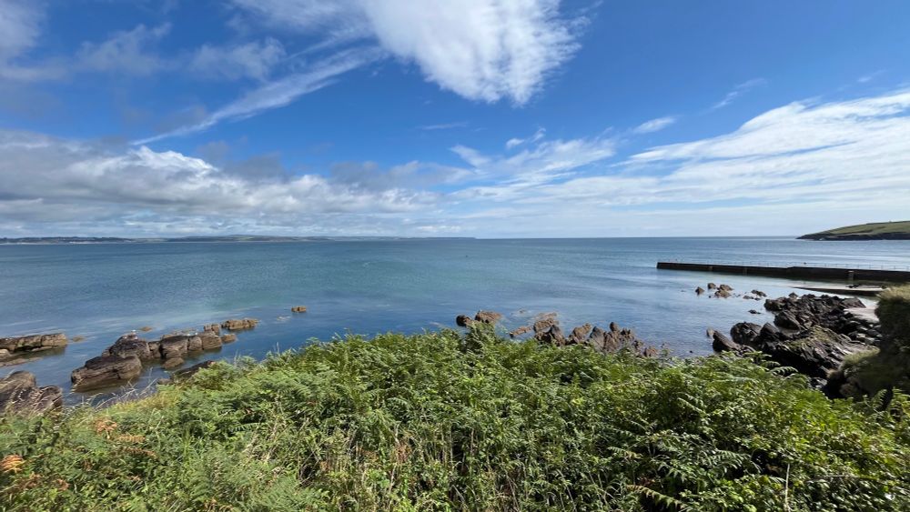 A scenic coastal view in County Cork, Ireland. The foreground is filled with lush green ferns and bushes, leading to a calm blue sea stretching out under a bright sky. Wispy white clouds drift across the sky, and a stone pier juts into the water on the right. The horizon is dotted with soft, distant clouds and a faint outline of land far off in the distance.