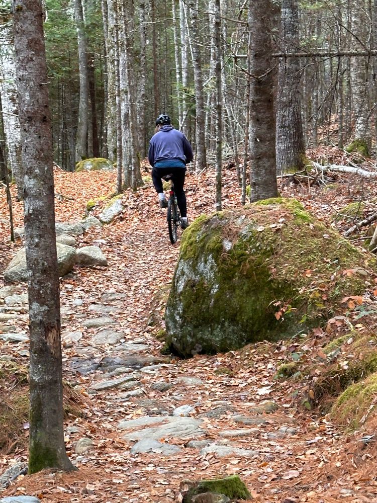 Navigating a rock garden or rock crossing.