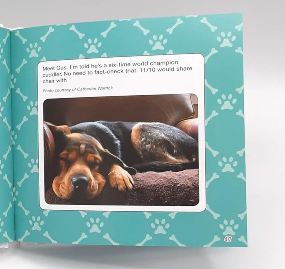 Book page with turquoise background and photo of hound with droopy face napping on a chair