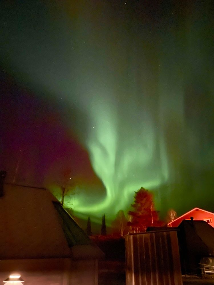 Green northern lights seen at Apukka Resort Finland. Verona McColl. 