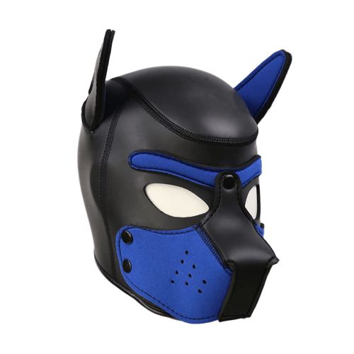 a neoprene pup hood 
