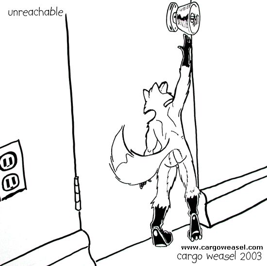 a naked fox reaches up to a doorknob that he can't quite get to 