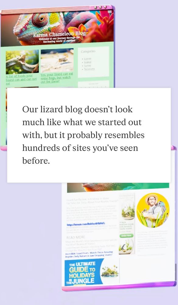 “Our lizard blog doesn’t look much like what we started out with, but it probably resembles hundreds of sites you’ve seen before.” Shows the contrast between the website before SEO took over and after.