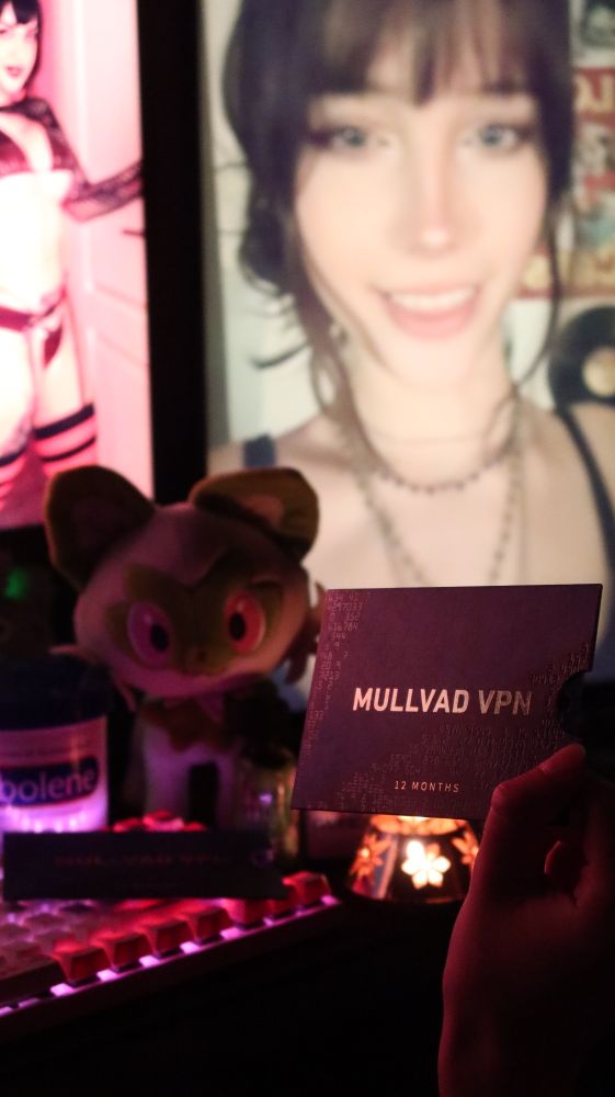 Mullvad VPN card held up infront of a monitor with face porn~!