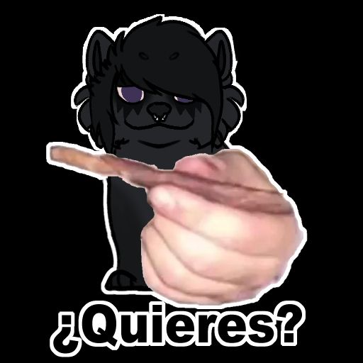 A black chowchow with emo hair and a septum piercing. Their eye whites are reddish. 
They are holding up a dog treat with a human hand, the bottom text says "¿Quieres?"