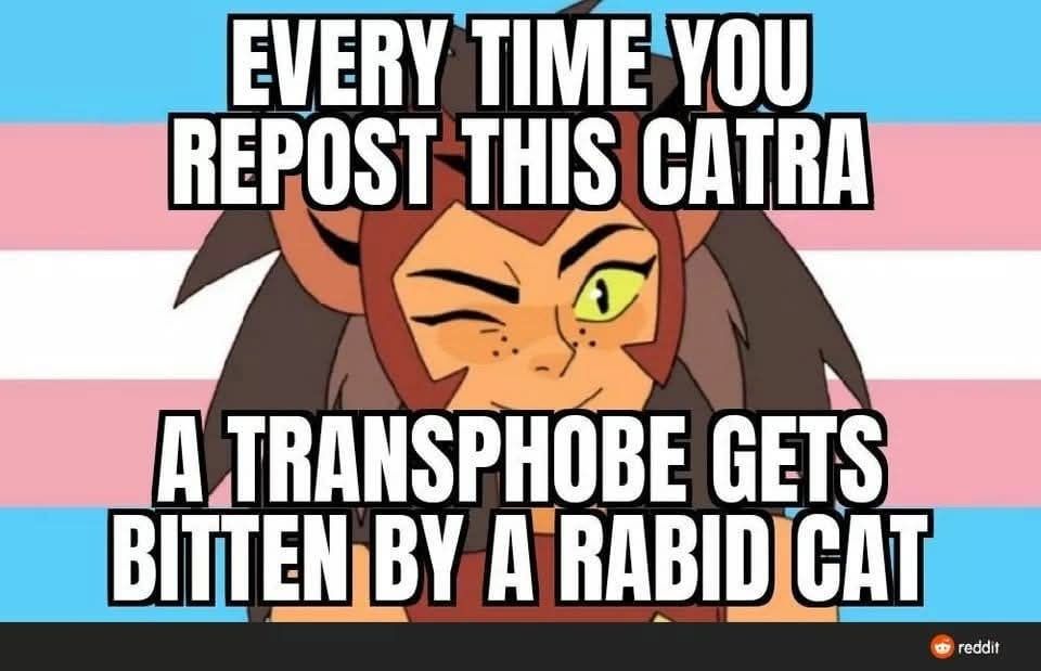 Catra from She-Ra and the Princess of Power winking. A trans flag in the background.
Overlaying text: Every time you repost this Catra a transphobe gets bitten by a rabid cat