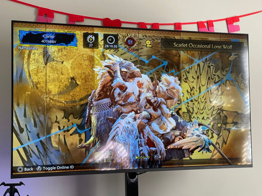 A trio consisting of a Hunter, her Palico, and their Seikret.