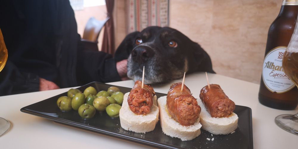 Dogs head on edge of table on which is a plate of olives and 3 sausages