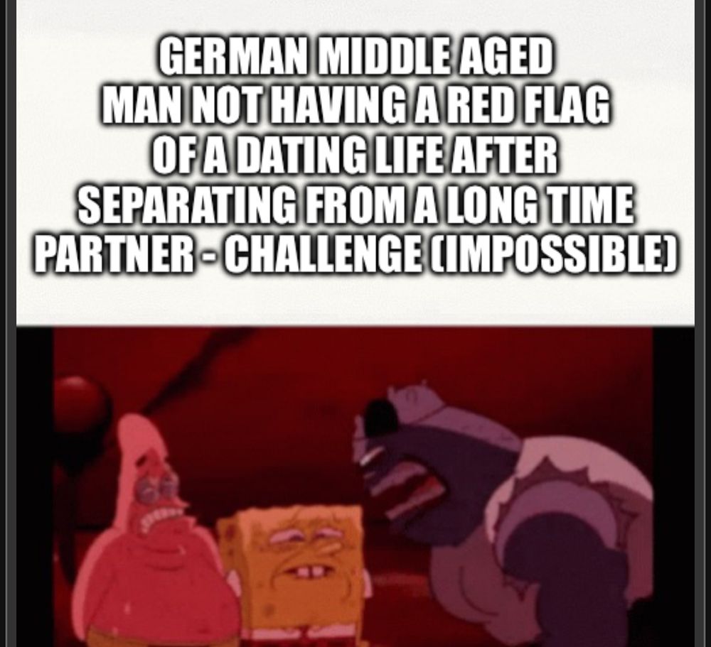 "GERMAN MIDDLE AGED
MAN NOT HAVING A RED FLAG OF A DATING LIFE AFTER SEPARATING FROM A LONG TIME PARTNER-CHALLENGE IMPOSSIBLE)" Meme