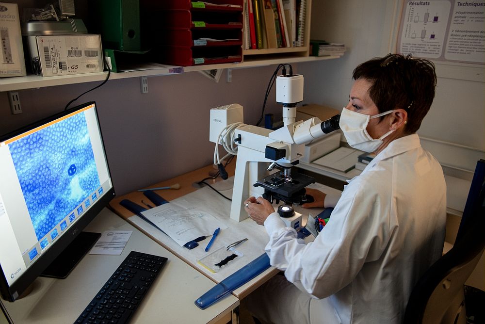 Manipulation au microscope au laboratoire de toxicologie alimentaire de Toulouse