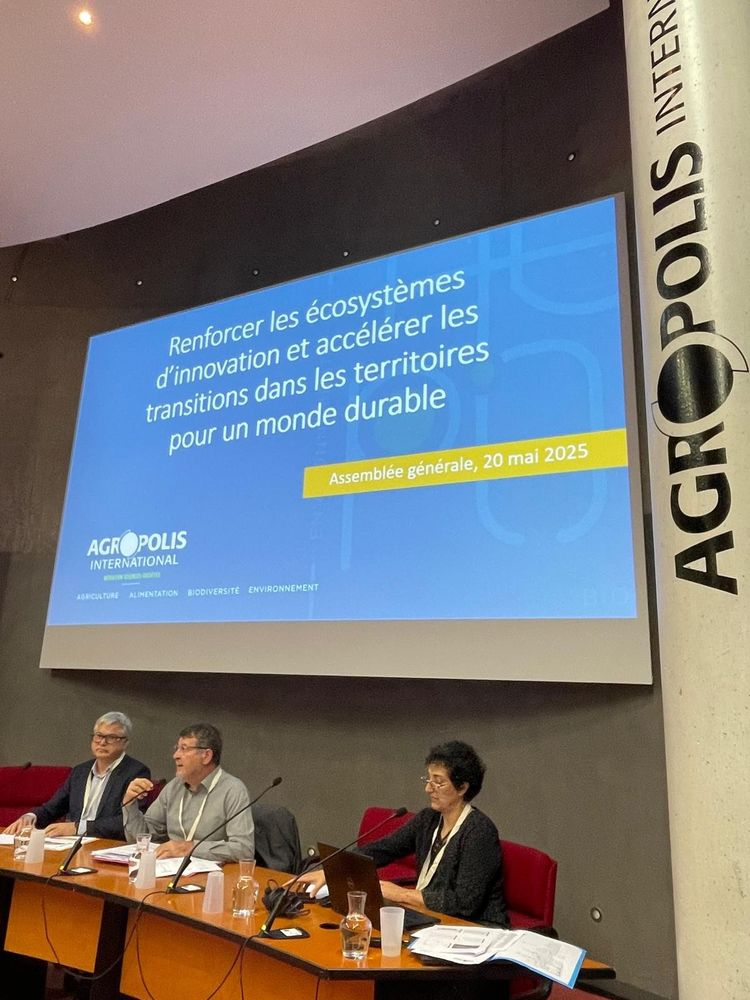 Photo amphi AG Agropolis International