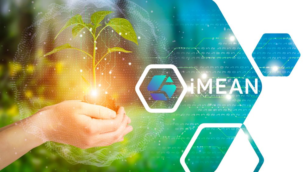 visuel start-up iMEAN
