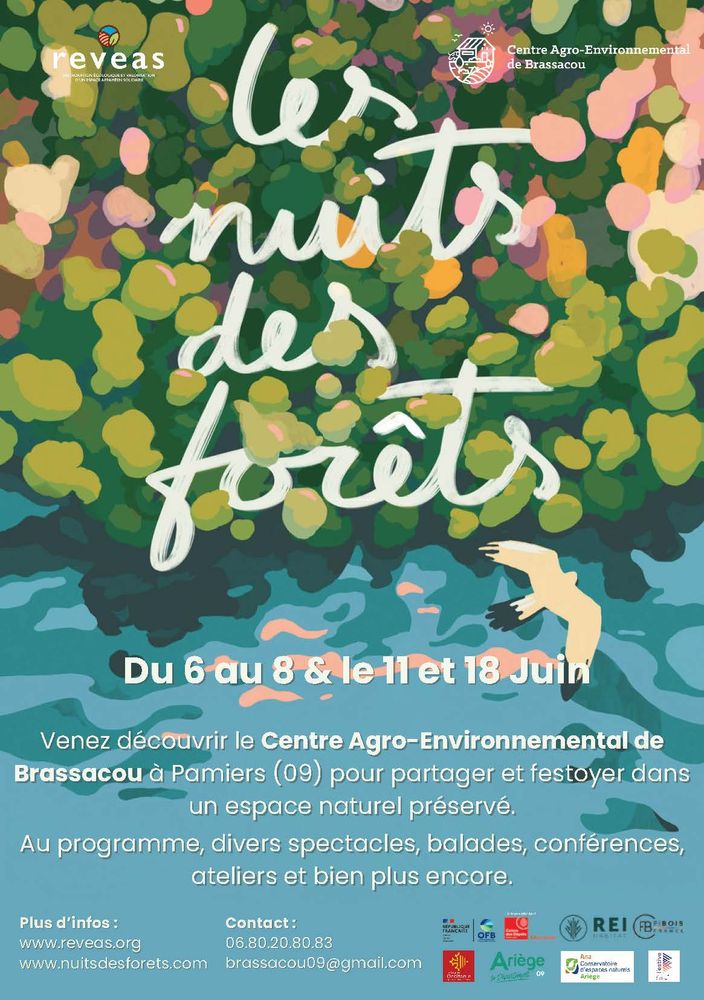 affiche nuits des forêts à Brassacou