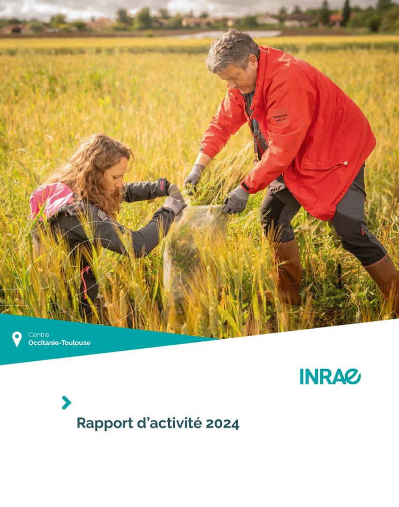 couverture du rapport d'activité 2024 du centre INRAE Occitanie-Toulouse