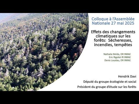 Colloque à l’Assemblée Nationale: Effets des changements climatiques sur les forêts