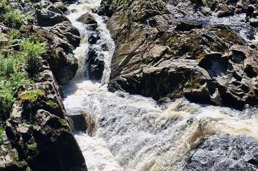 A landscape-style photo of a fast running small waterfall with a small salmon leaping up trying to reach the next level of the falls to the left taken from a distance.