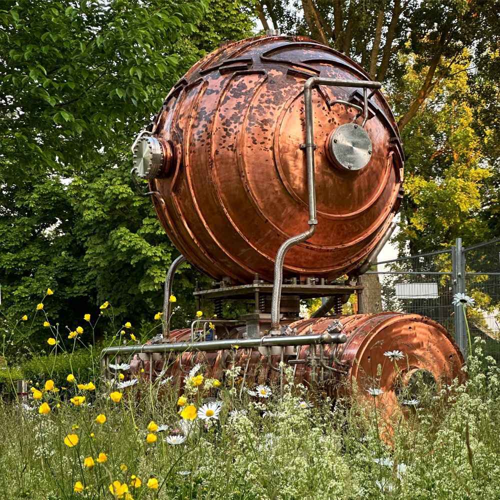 A photo of a large (order of metres) copper-coloured structure from a low angle surrounded by wildflowers (which are mostly white and yellow). The structure is a radio-frequency cavity from the Large Electron Positron Collider.