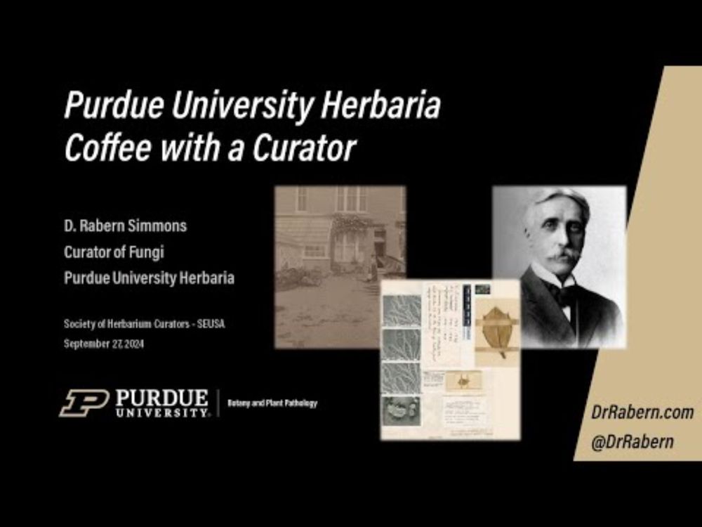 Coffee with a Curator - Society of Herbarium Curators - 27 Sep 2024 - YouTube