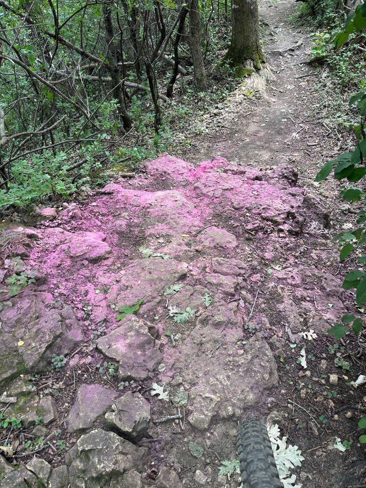 Pink chalk? Has somehow? Exploded? All over the trail?