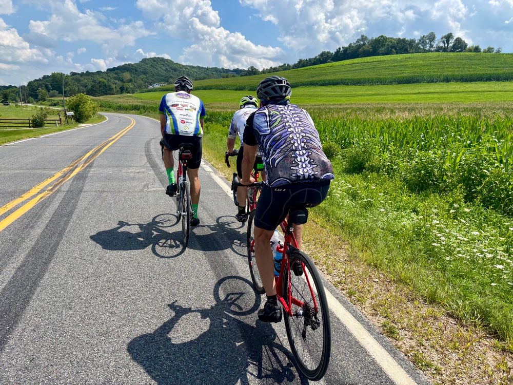 Three road cyclists hug the white lane on a narrow road through green fields. The sky is blue with puffy white clouds 