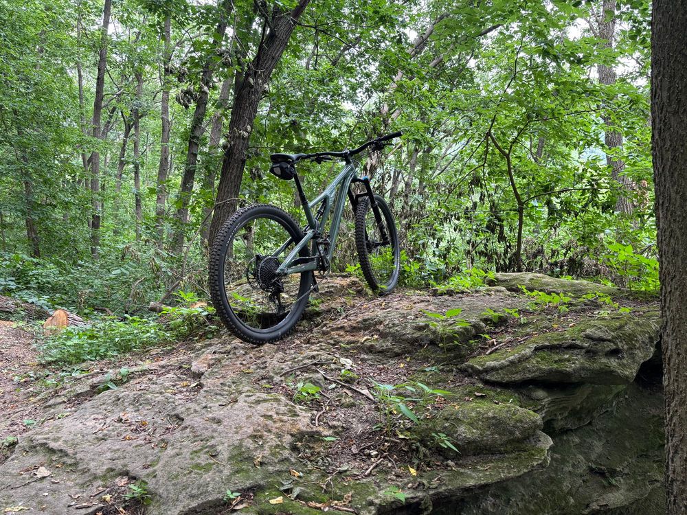 A mountain bike perched on a large rock in a deep green forest 