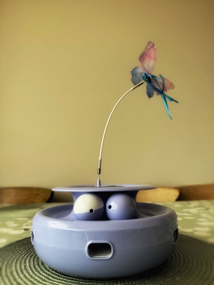 A circular plastic toy with narrow rounded edges holes around its circumference where colourful feathered protuberances pop out and retract to entice nearby cats to play. Around the top of the disc is a narrow channel in which two balls are housed to once again entice cats to push the balls around the circumference without being able to get them out. On top of the device is a bend rod with a material butterfly on top that spins around to … you got it … entice cats to play. In the picture one of the elongated holes around the circumference looks like a gormless mouth, the balls resemble googly eyes and the butterfly a curious tuft of hair. 