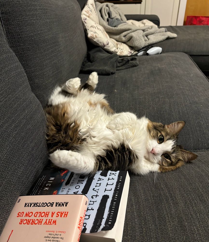 Fluffy white and brown cat lounging lazily on a couch with two books 