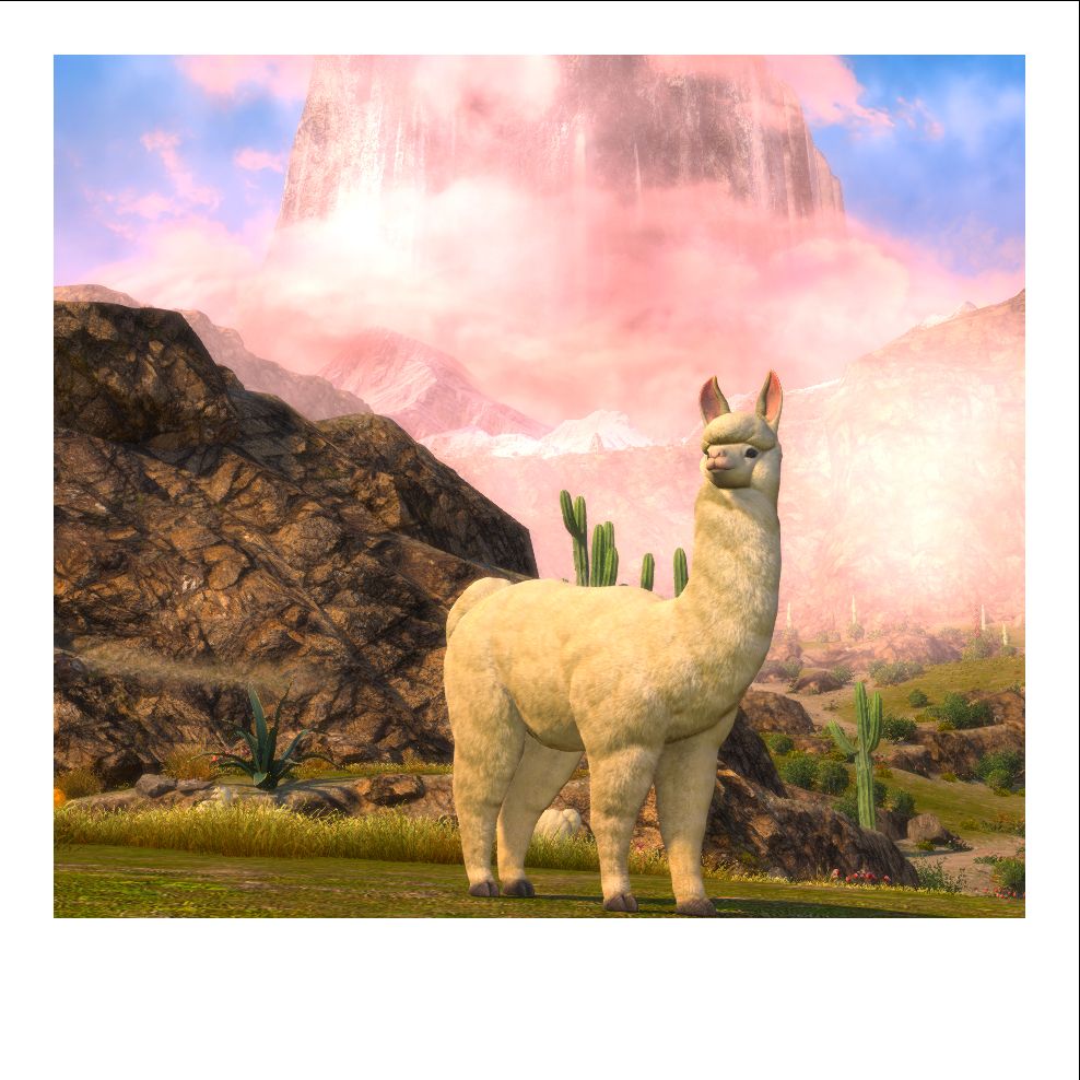 photograph of an alpaca standing majestically against the urqopacha skyline.