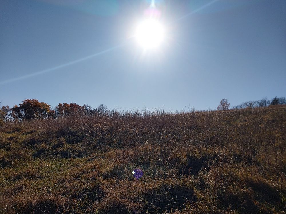 Sun in blue sky over prairie