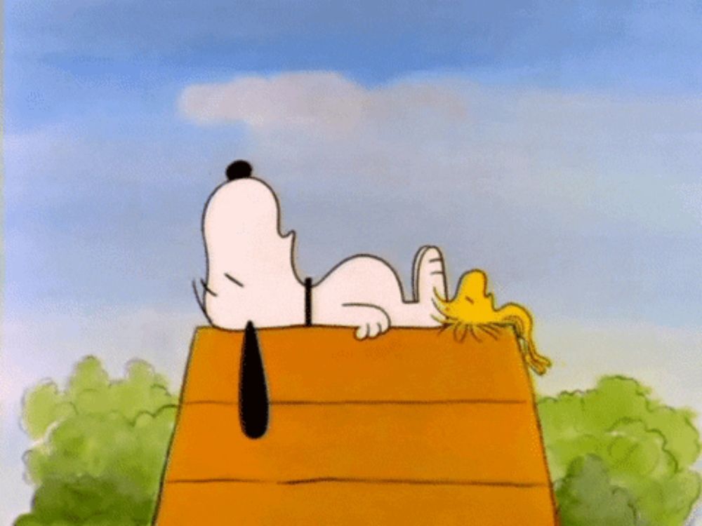 snoopy and woodstock are laying on the roof of their house .