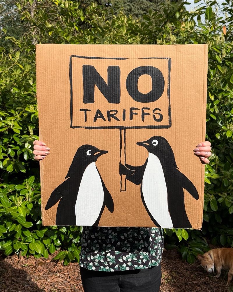 Hands holding a cardboard sign. Two penguins are painted in black and white. One penguin holds a sign that says “NO TARIFFS”