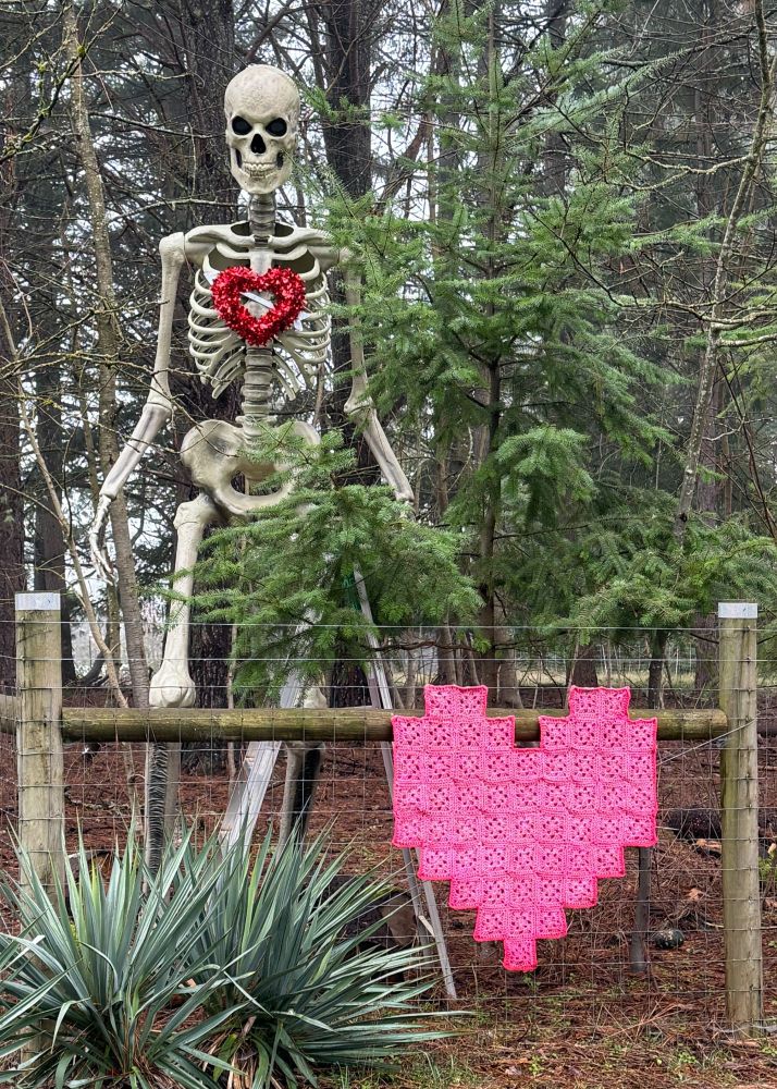 A 12 foot skeleton stands behind a young pine three and farm fence. The skeleton has a small red tinsel heard on its chest. There is a pink pixel granny square crochet heart on the farm fence.