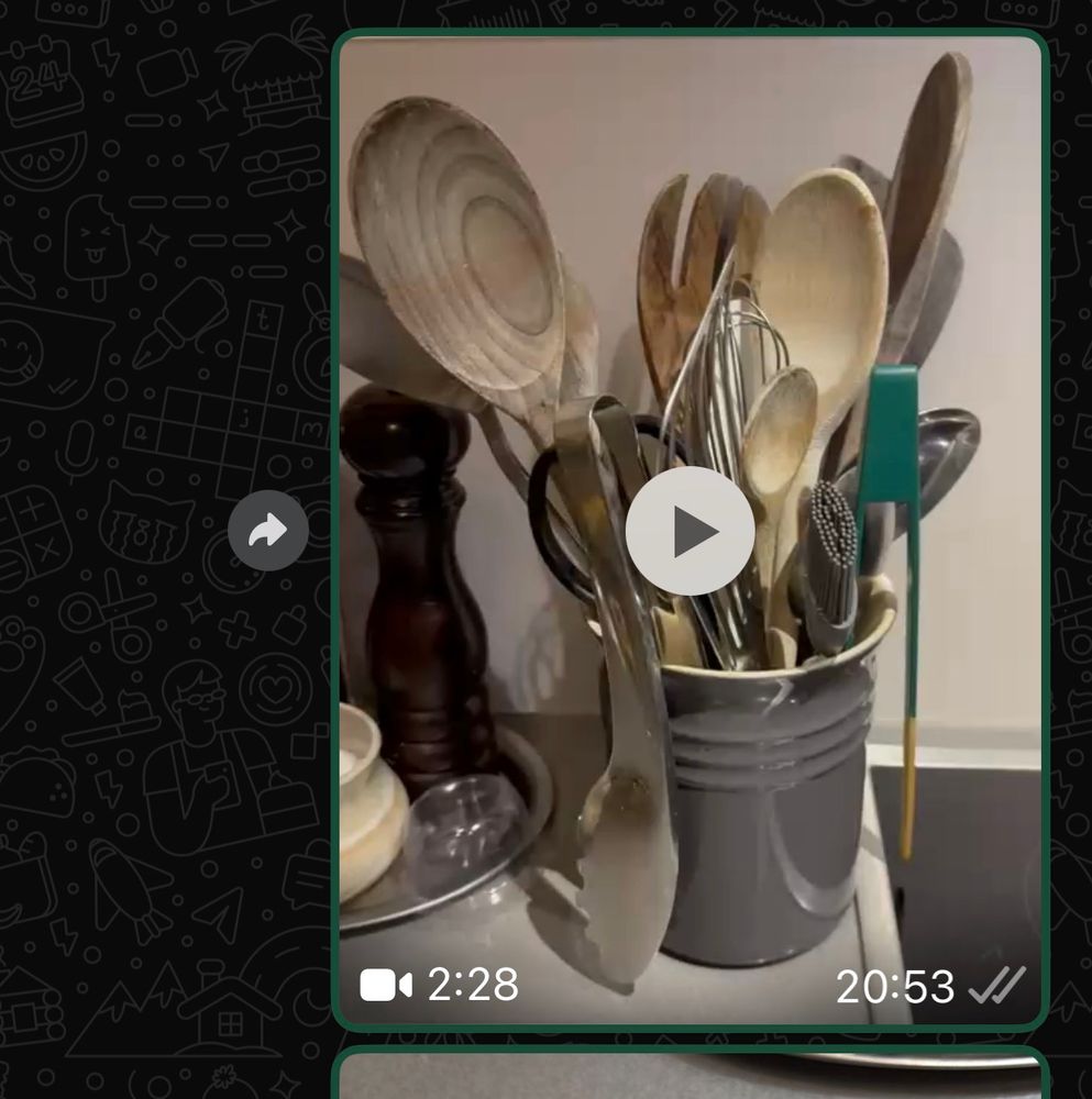 A screenshot of a video that I sent my family 