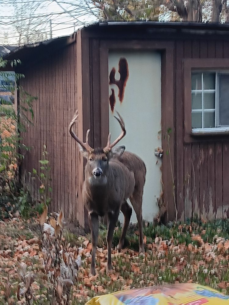 Other side of the fence