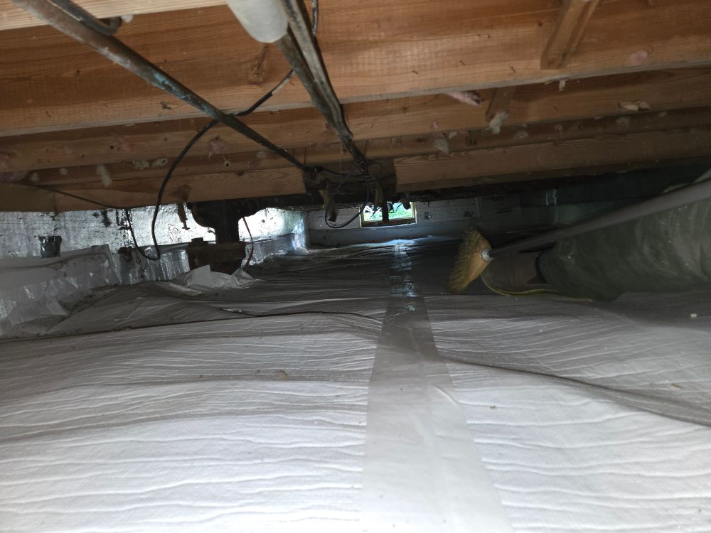 A crawl space that shockingly does not host bodies under it like in true crime TV shows.
