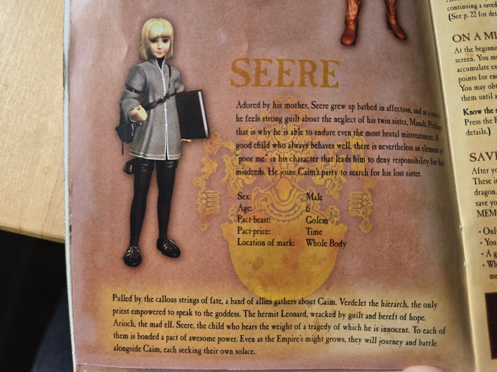 Character bio and art from Drakengard 