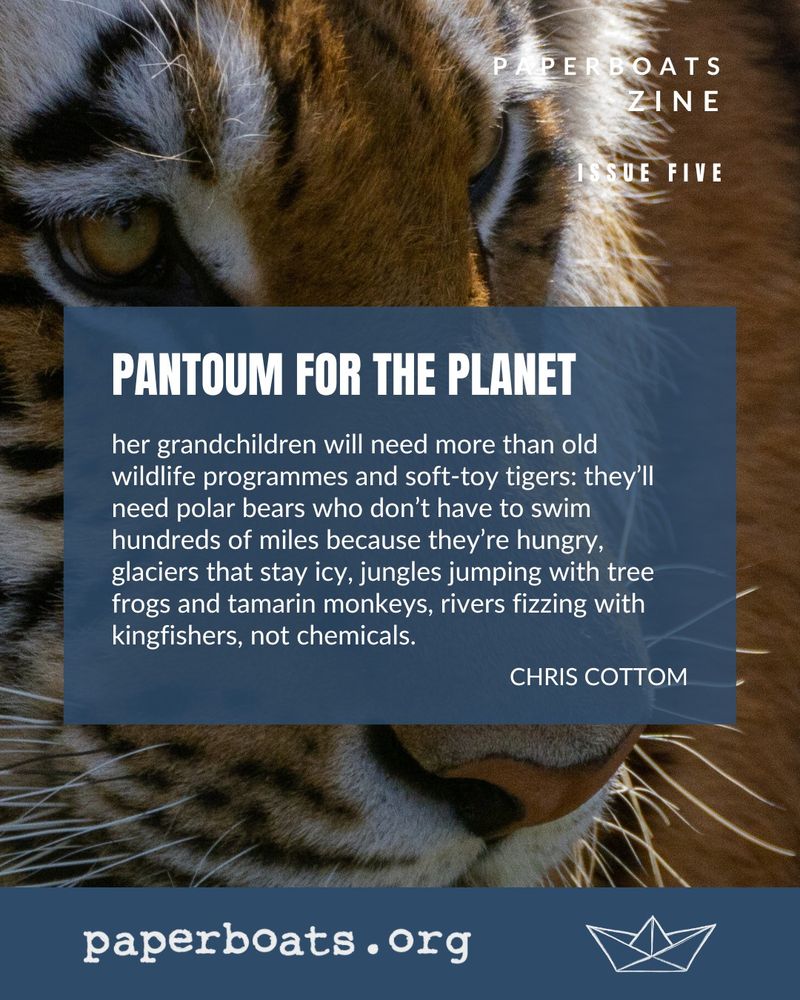 Image of a tiger's face, with the words: her grandchildren will need more than old wildlife programmes and soft-toy tigers: they’ll need polar bears who don’t have to swim hundreds of miles because they’re hungry, glaciers that stay icy, jungles jumping with tree frogs and tamarin monkeys, rivers fizzing with kingfishers, not chemicals. 