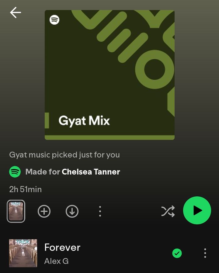 A screenshot of an auto generated Spotify playlist named "Gyat Mix". The first song is Forever by Alex G