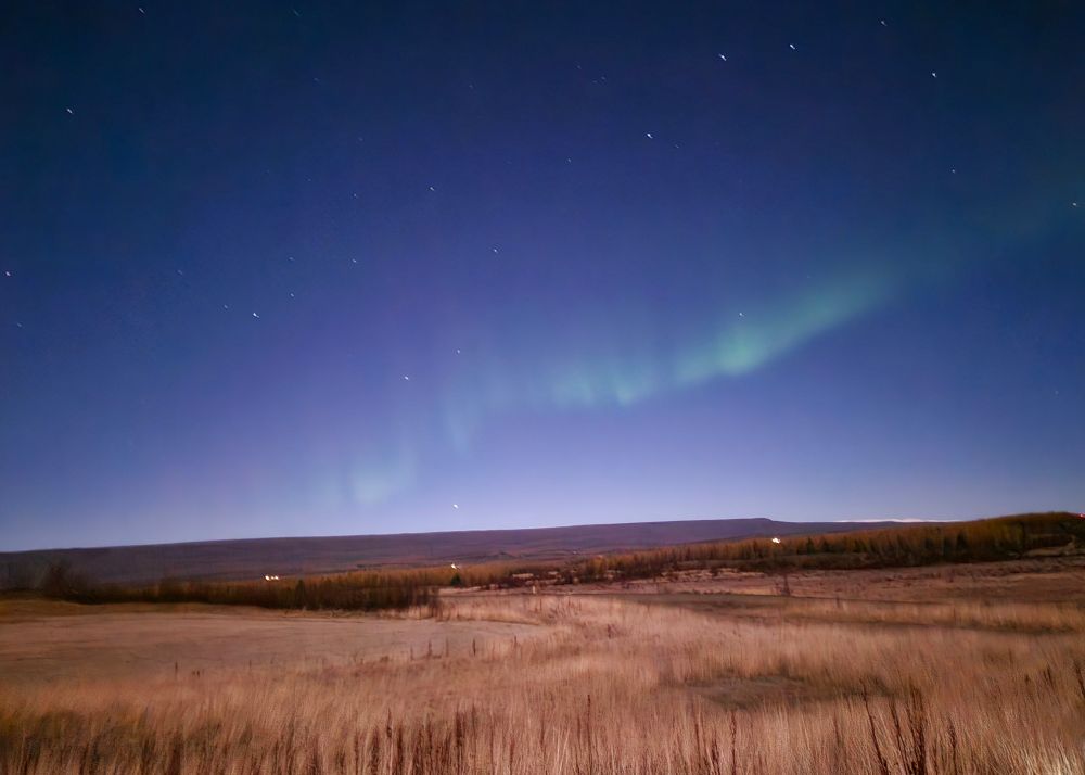 Abgeblühte, ungefähre Wiese im Vordergrund. Am Himmel Sterne und Nordlichter. 